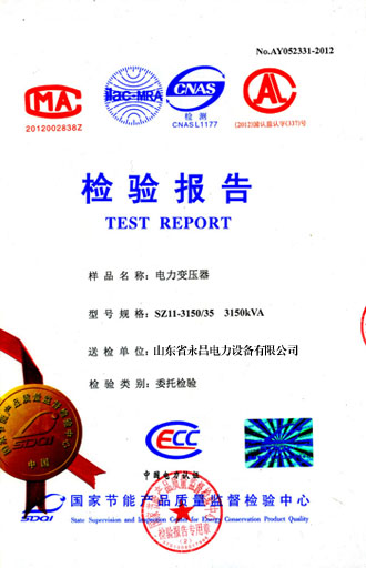 广西电力变压器检测报告